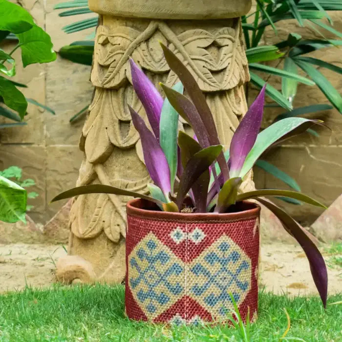 small purple plant pots Mona B