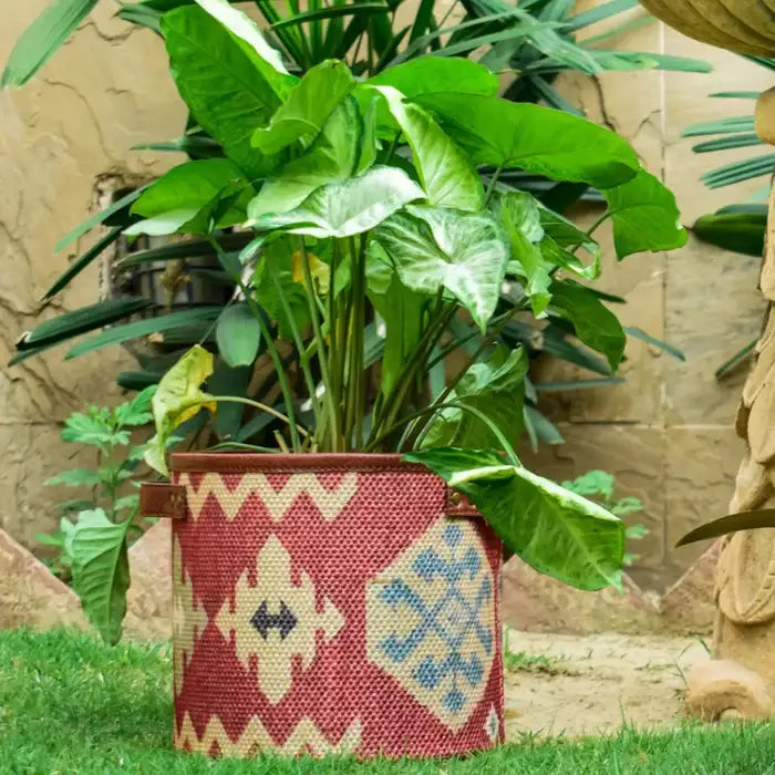 Mona B - Planterra Planter Large