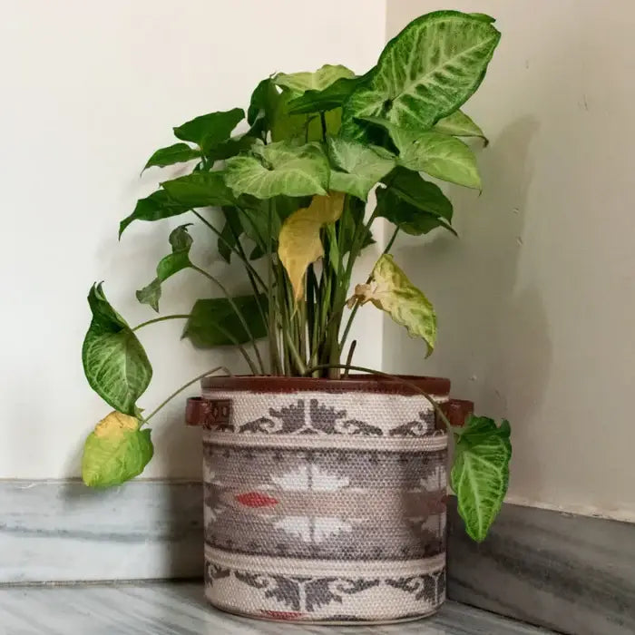 Mona B - Planterior Planter Medium